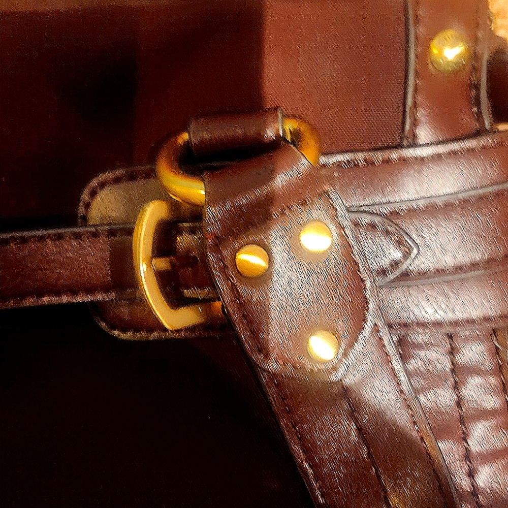 Etienne Aigner Bag